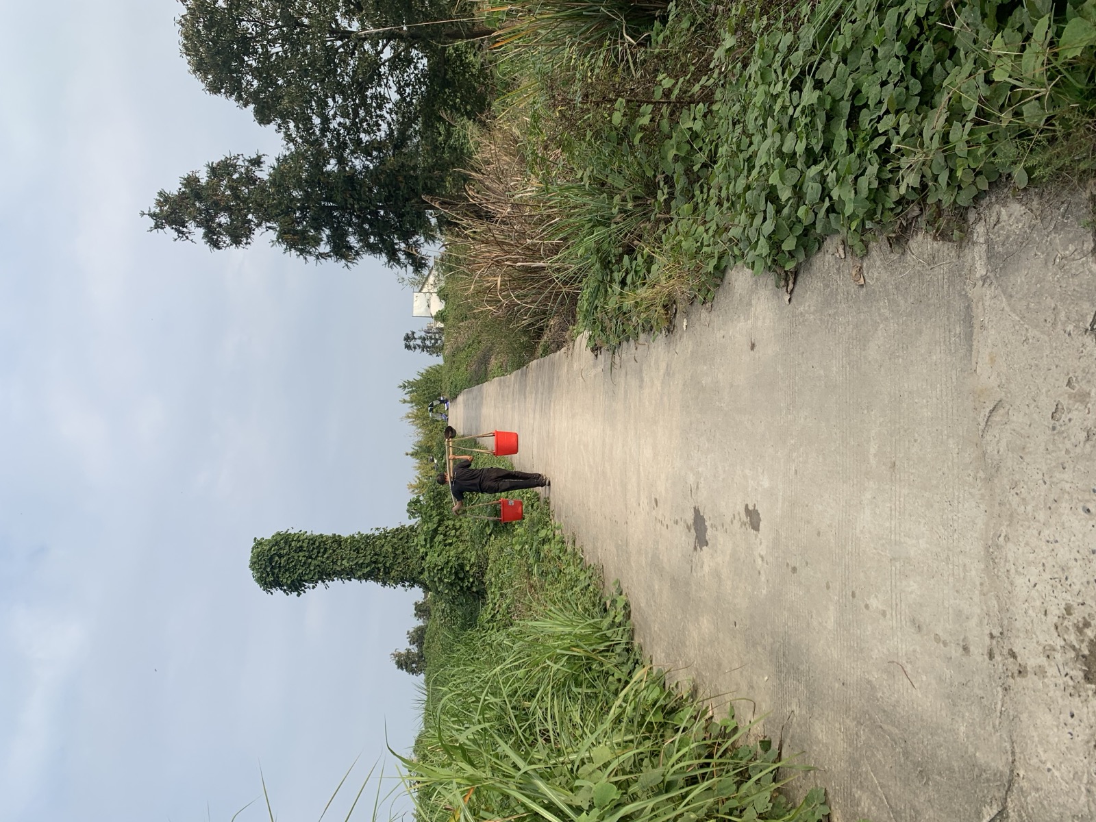 Tao Hua Tan residency, Anhui, 2023 — image 24
