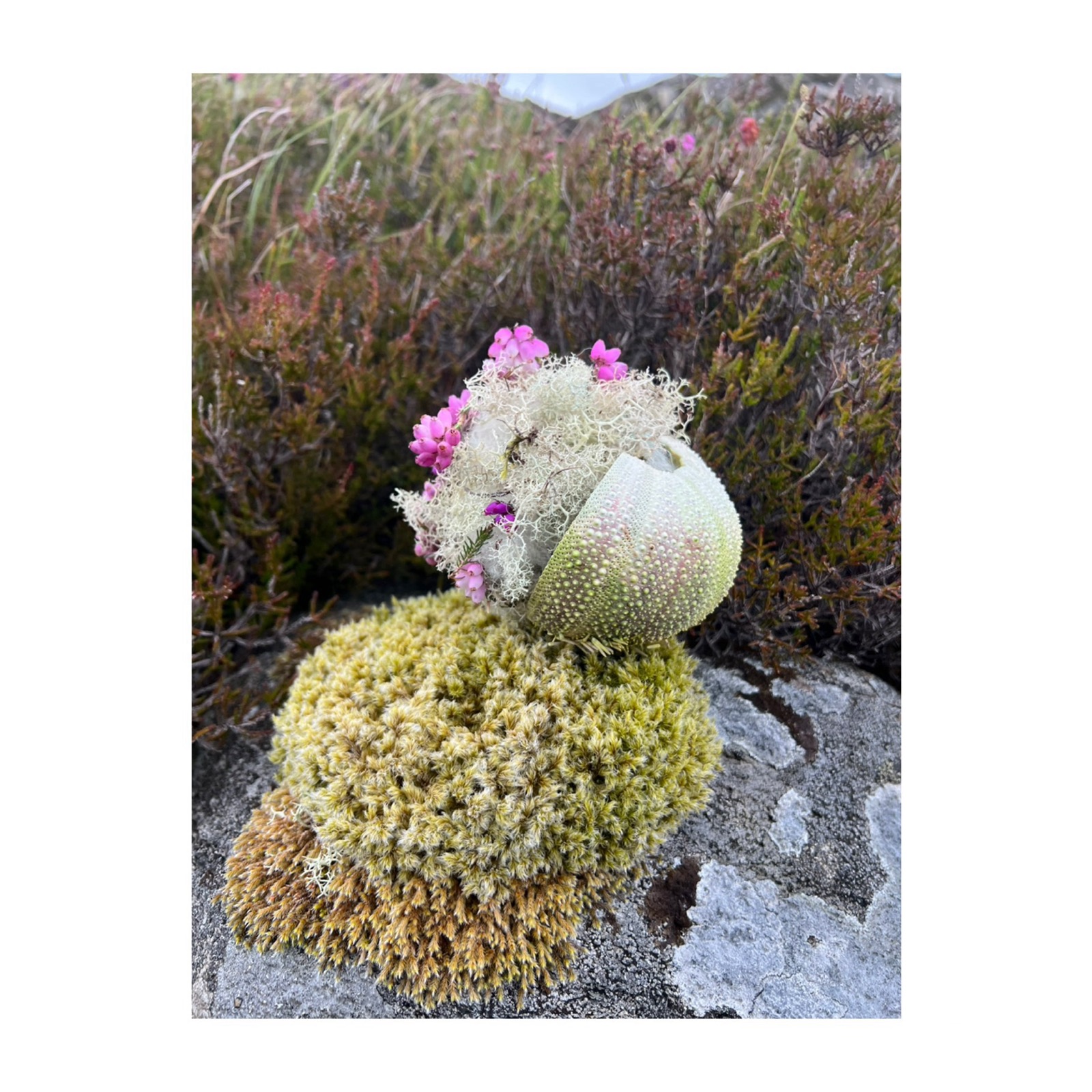 Sail Britain residency, Stornoway, 2025 — image 34